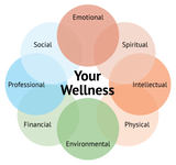 Customized Wellness Plan + 6-Month Accountability Coaching